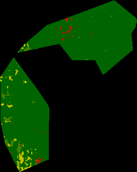 Bukit Tangkiling