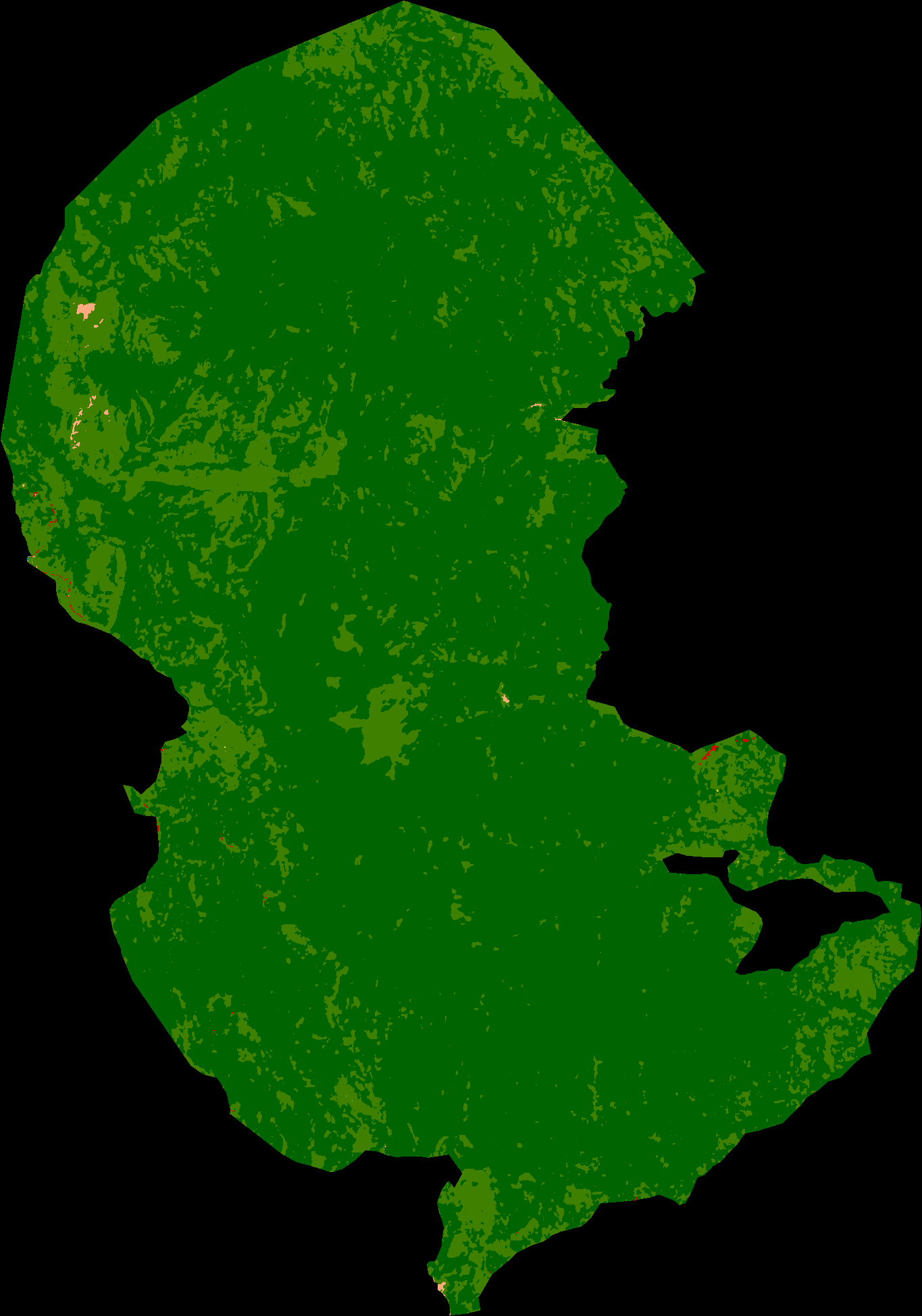 Gunung Mutis