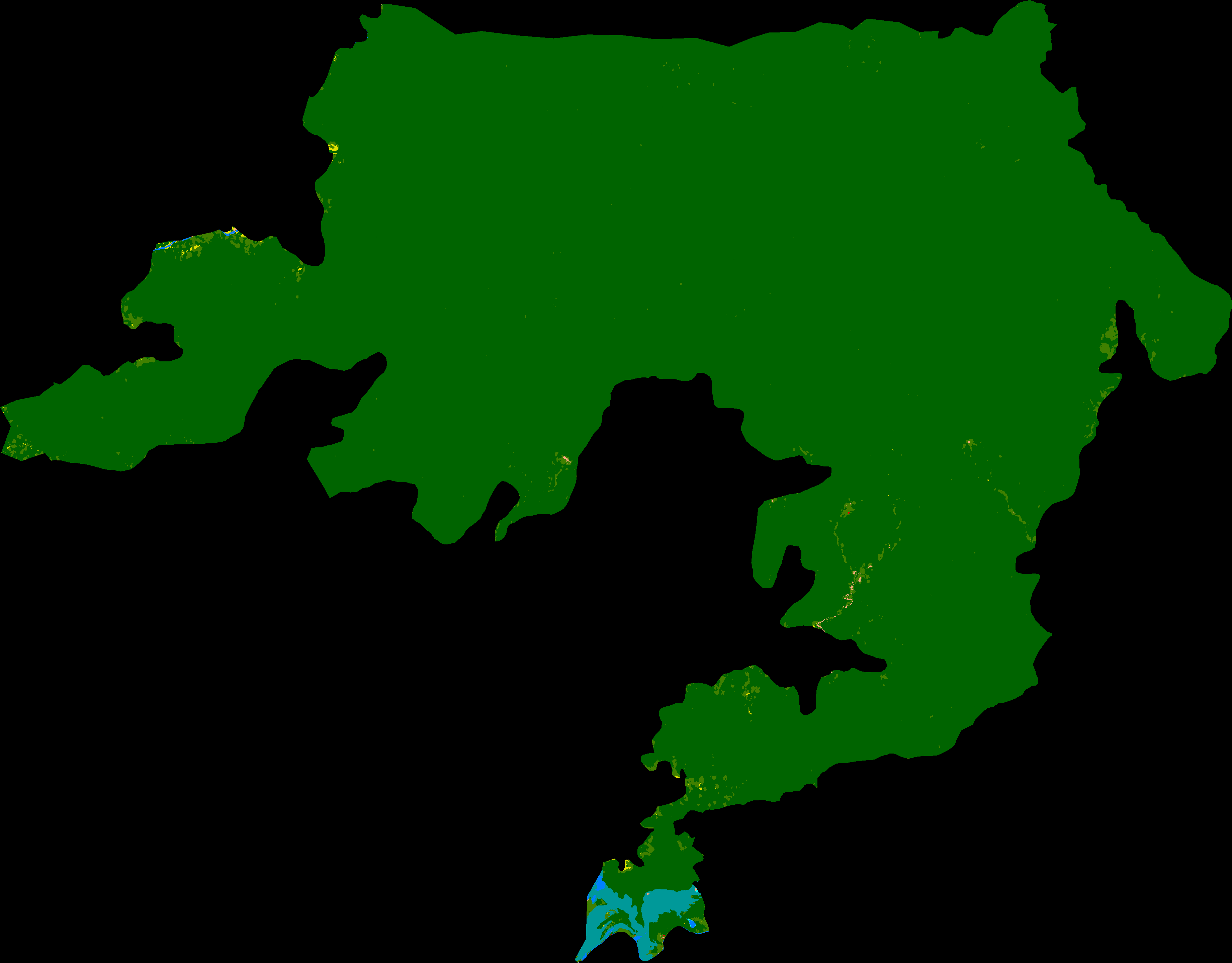 Panua