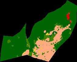 Papandayan