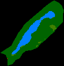 Telogo Dringo