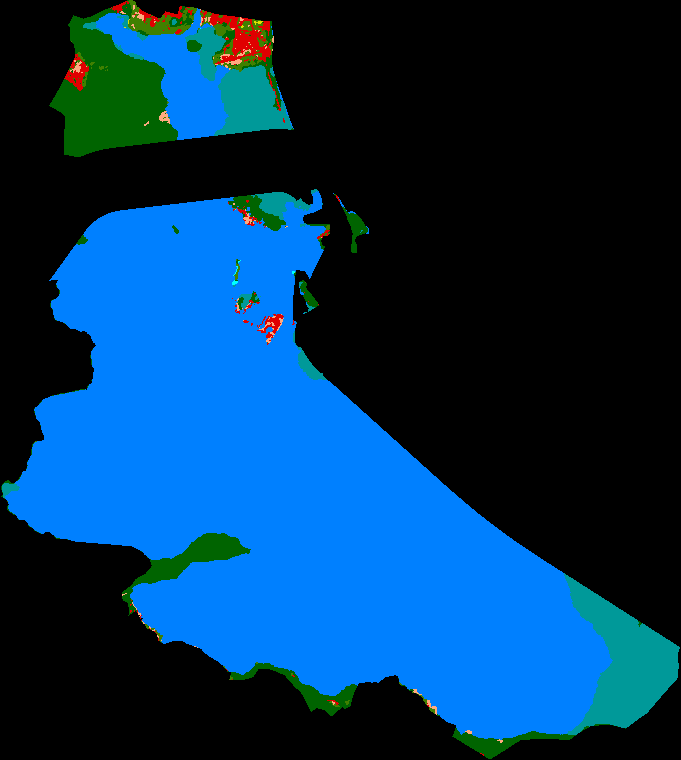 Teluk Youtefa