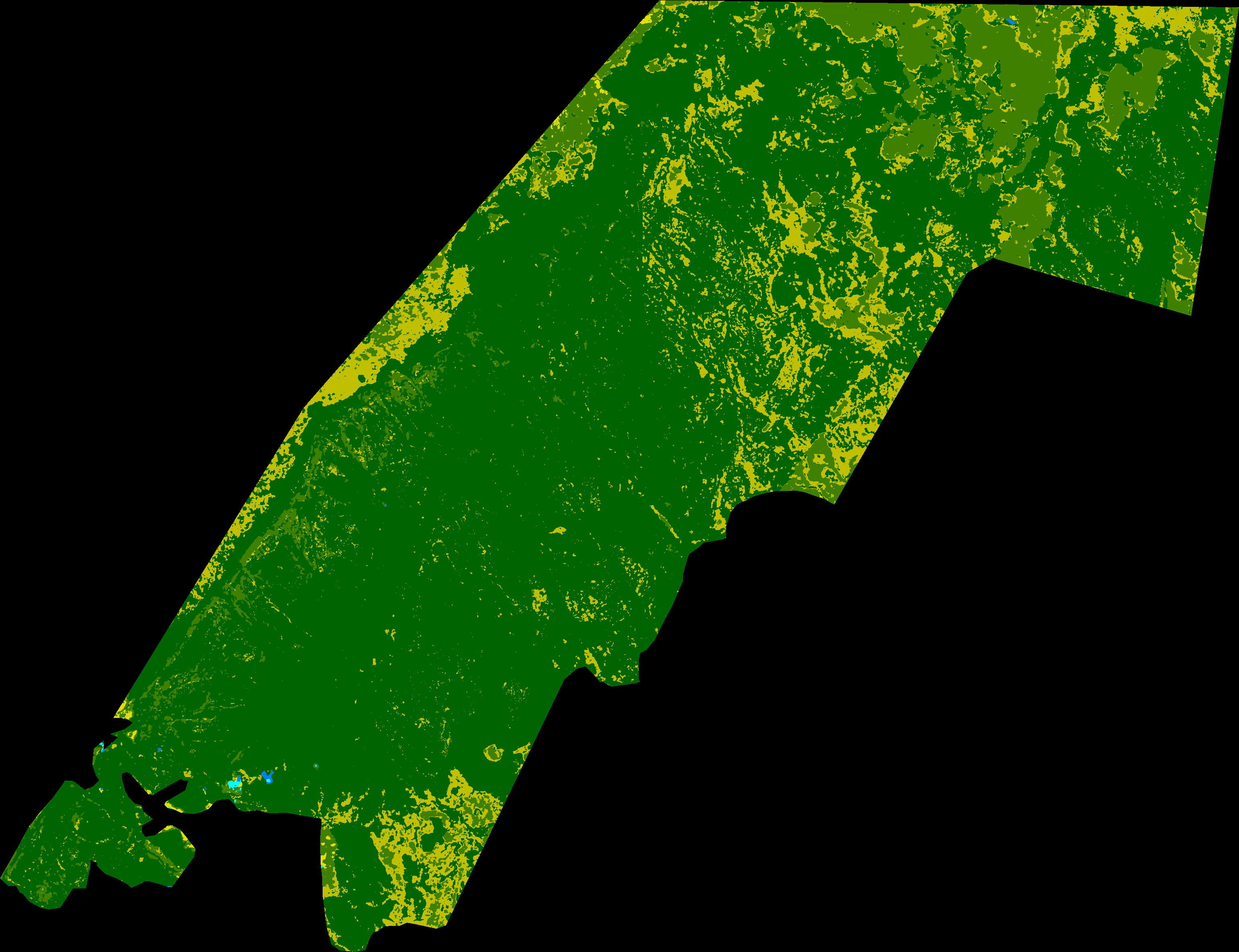 Ankarana