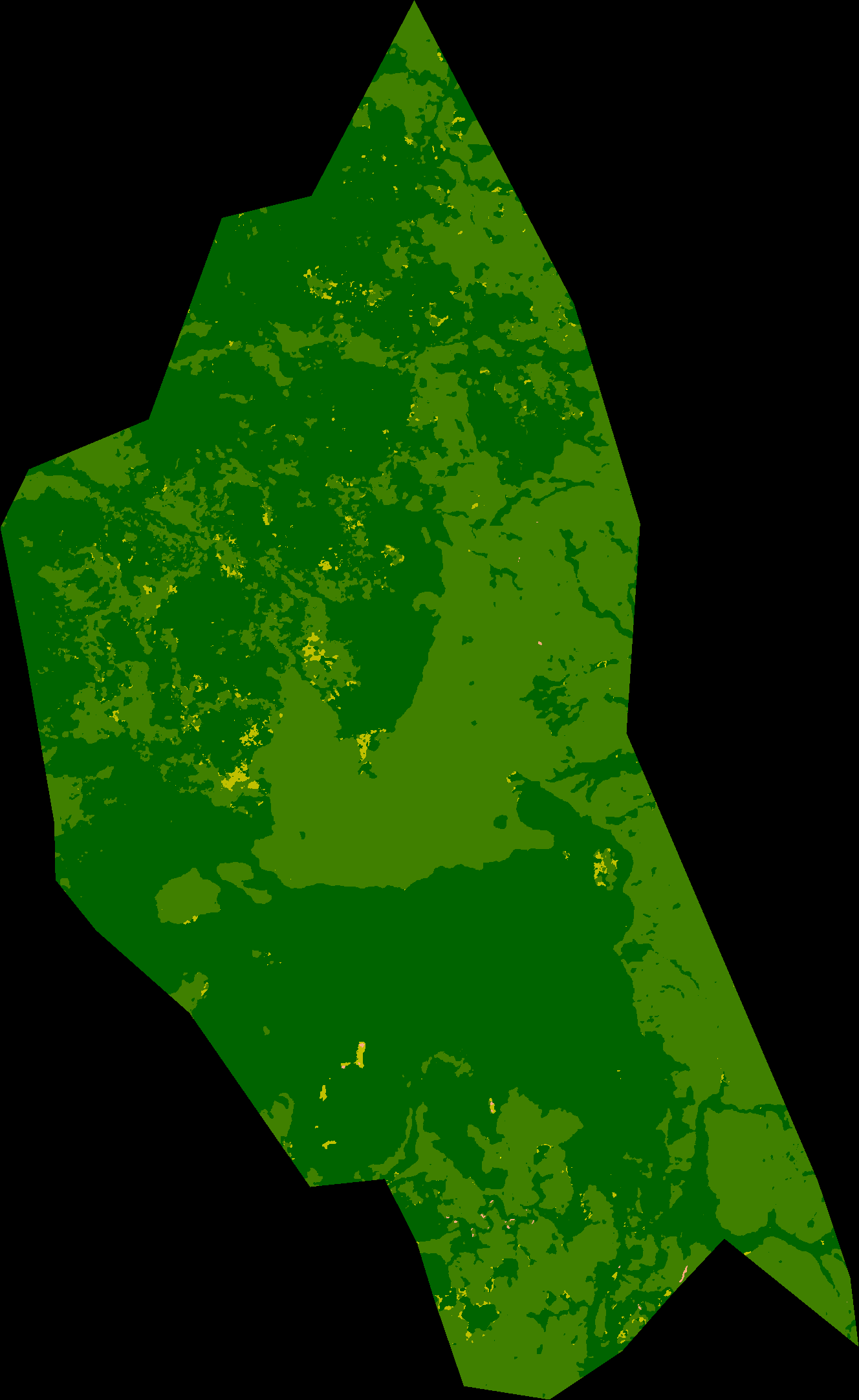 Bemarivo