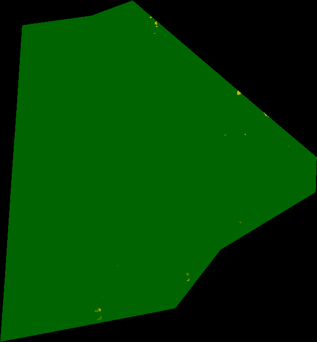 Betampona