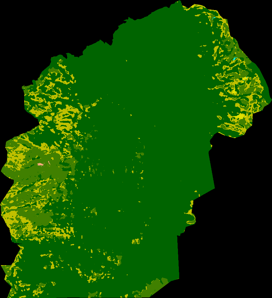 Ivohibe